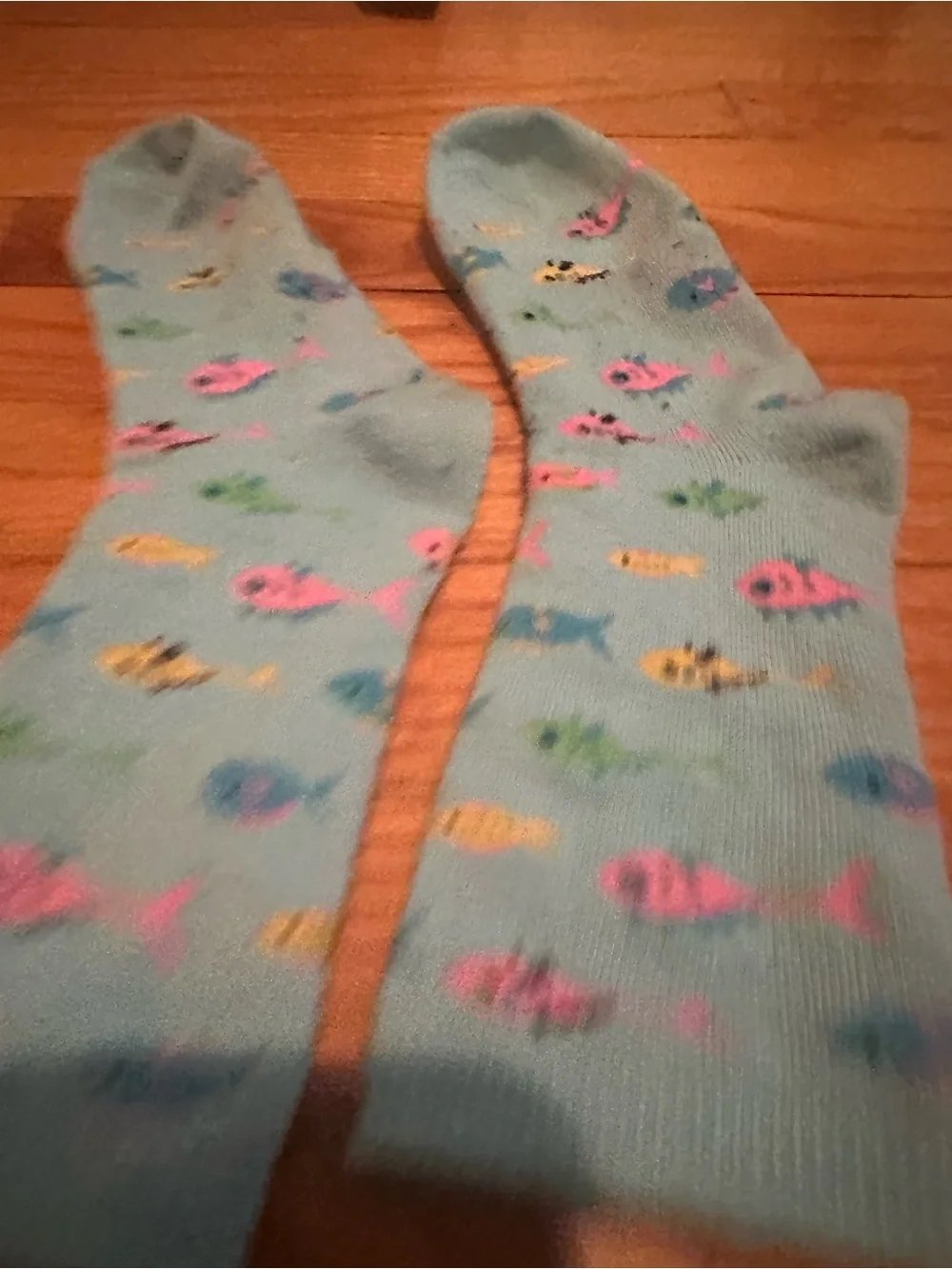 Light Blue Fish Pattern Aquarium Women’s Socks - Casual Pet-Themed Wear